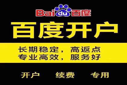百度竞价广告成功案例集锦：如何玩转搜索引擎营销